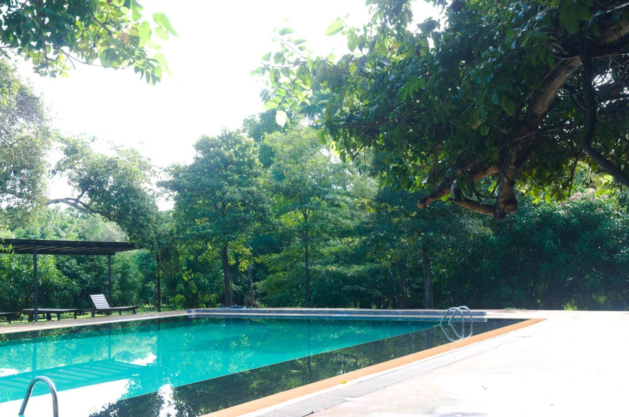 Pinthaliya Resort 시기리야 외부 사진